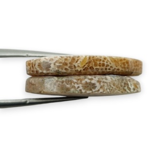 Fossil para kaboszonów z dziurką 25x13 mm nr R406