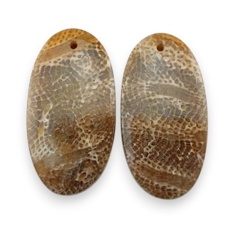 Fossil para kaboszonów z dziurką 26x14 mm nr R385