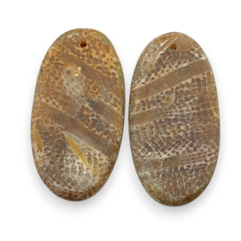 Fossil para kaboszonów z dziurką 26x14 mm nr R385