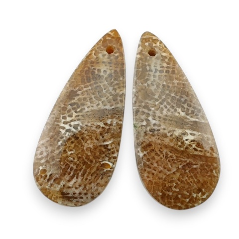 Fossil para kaboszonów z dziurką 27x12 mm nr R402