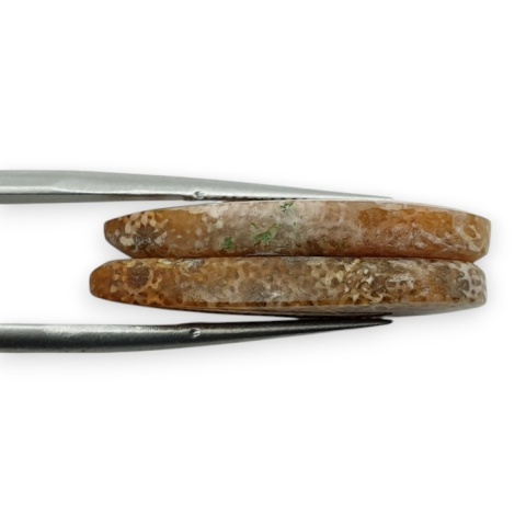 Fossil para kaboszonów z dziurką 27x12 mm nr R402