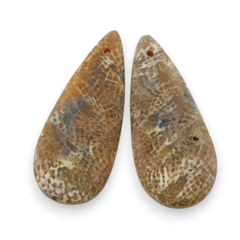 Fossil para kaboszonów z dziurką 27x12 mm nr R402