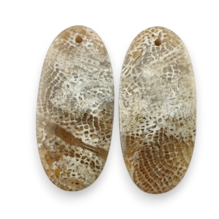 Fossil para kaboszonów z dziurką 27x12 mm nr R424