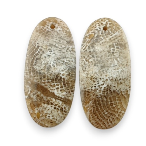 Fossil para kaboszonów z dziurką 27x12 mm nr R424