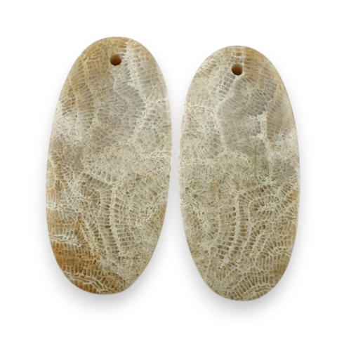 Fossil pair of cabochons with hole 27x13 mm no R412