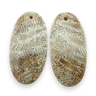 Fossil para kaboszonów z dziurką 27x13 mm nr R417