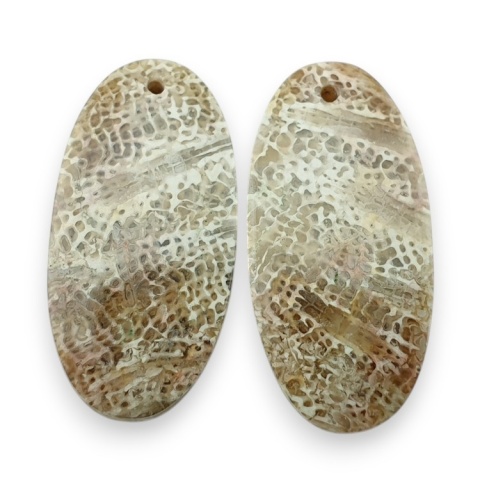 Fossil pair of cabochons with hole 27x13 mm no R417