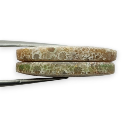 Fossil pair of cabochons with hole 27x13 mm no R417