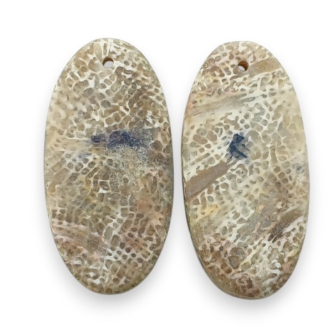 Fossil pair of cabochons with hole 27x13 mm no R417