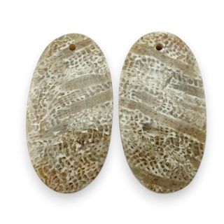 Fossil para kaboszonów z dziurką 27x14 mm nr R384