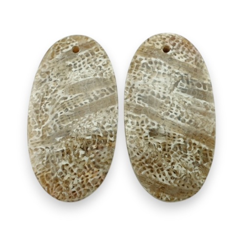 Fossil para kaboszonów z dziurką 27x14 mm nr R384
