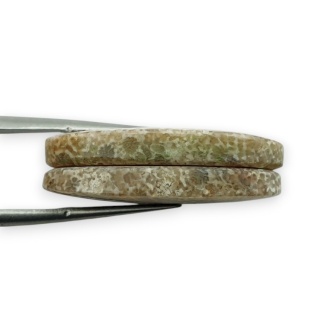 Fossil para kaboszonów z dziurką 27x14 mm nr R384