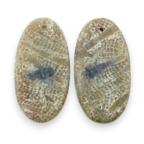 Fossil para kaboszonów z dziurką 27x14 mm nr R384