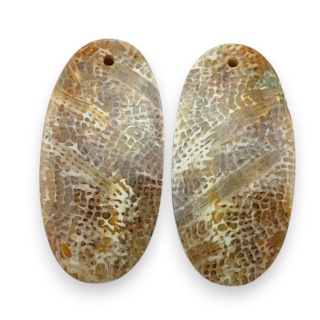 Fossil para kaboszonów z dziurką 28x14 mm nr R390