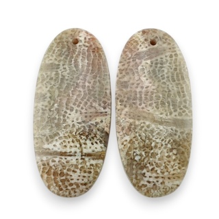 Fossil para kaboszonów z dziurką 29x13 mm nr R387