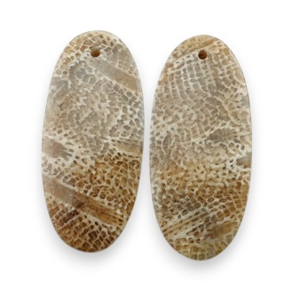 Fossil para kaboszonów z dziurką 29x13 mm nr R409