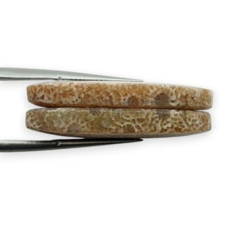 Fossil para kaboszonów z dziurką 29x13 mm nr R409