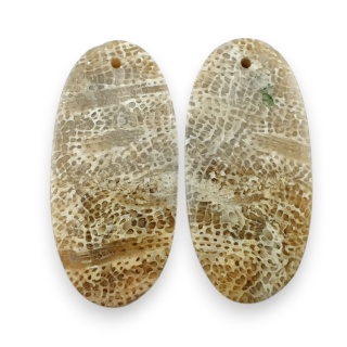 Fossil para kaboszonów z dziurką 29x13 mm nr R421