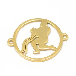 Aquarius connector, stainless steel, 22x18 mm, gold color