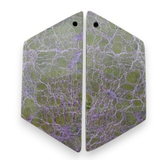 Stichtyt para kaboszonów z dziurką 39x17 mm nr R914