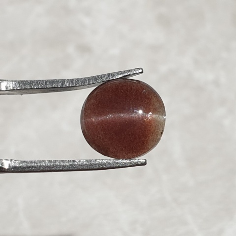 Scapolite cat's eye cabochon 10x10 mm no 251