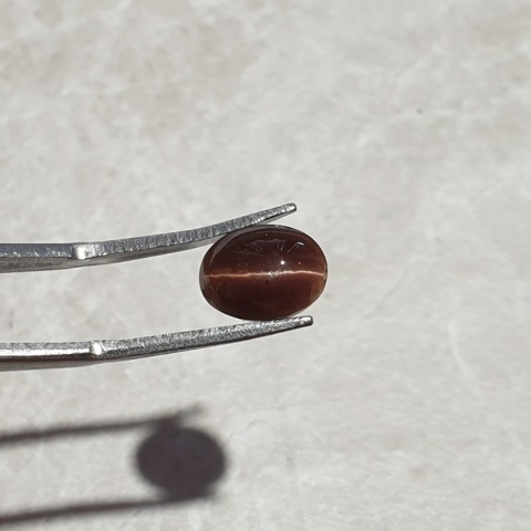 Scapolite cat's eye cabochon 10x7 mm no 182