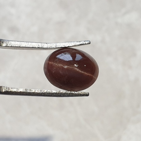 Scapolite cat's eye cabochon 10x8 mm no 121