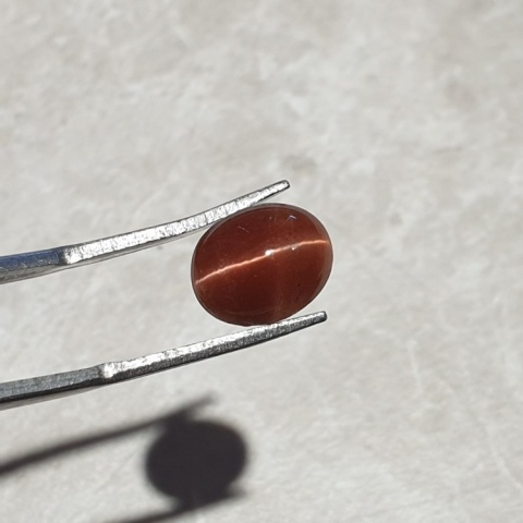 Scapolite cat's eye cabochon 10x8 mm no 189