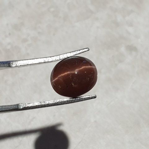 Scapolite cat's eye cabochon 10x9 mm no 199