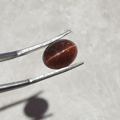 Scapolite cat's eye cabochon 11x8 mm no 194