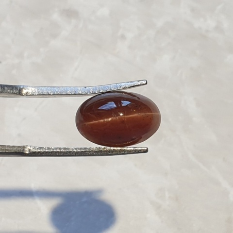 Scapolite cat's eye cabochon 11x8 mm no 64