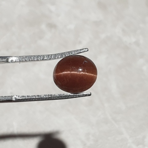 Scapolite cat's eye cabochon 9x8 mm no 253
