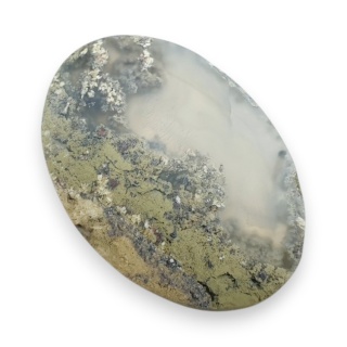 Agat mszysty z indonezjii kaboszon 42x29 mm nr 5