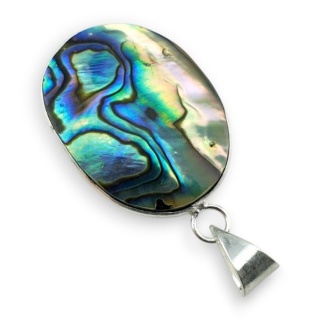 Paua abalone zawieszka 31x23 mm nr 257