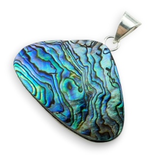 Paua abalone zawieszka 38x26 mm nr 243
