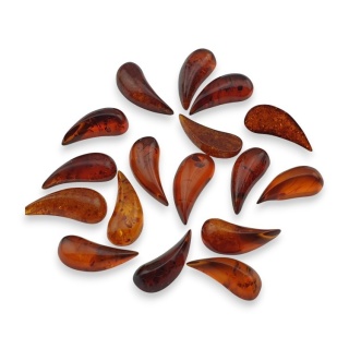 Bursztyn bałtycki kaboszon ząb 14-15x6 mm 1 szt