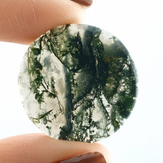 Moss agate cabochon fi 23x mm no 524