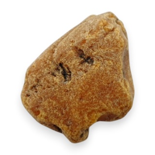 Bursztyn bałtycki bryłka surowa 20x17 mm nr 71