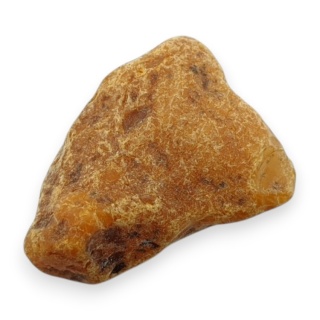 Baltic amber raw nugget 21x17 mm no 23