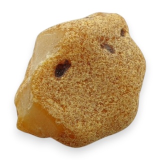 Baltic amber raw nugget 21x17 mm no 25