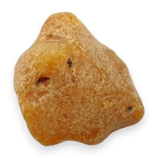 Baltic amber raw nugget 21x20 mm no 76