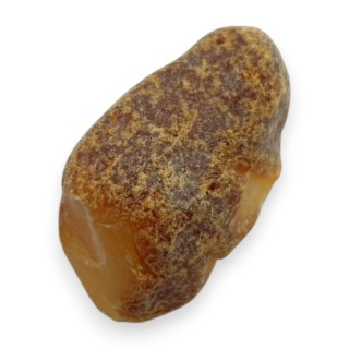 Baltic amber raw nugget 22x12 mm no 69