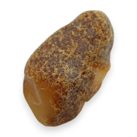 Bursztyn bałtycki bryłka surowa 22x12 mm nr 69