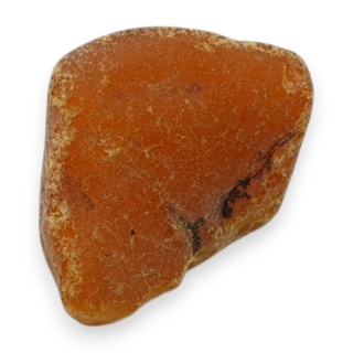 Baltic amber raw nugget 22x16 mm no 55