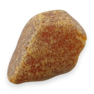 Baltic amber raw nugget 22x16 mm no 74
