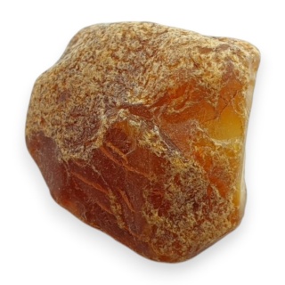 Baltic amber raw nugget 22x19 mm no 88