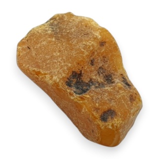 Baltic amber raw nugget 23x16 mm no 2