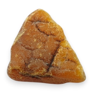 Baltic amber raw nugget 23x18 mm no 31