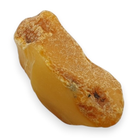 Bursztyn bałtycki bryłka surowa 24x12 mm nr 11