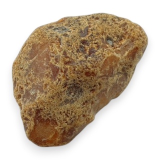 Baltic amber raw nugget 24x16 mm no 1